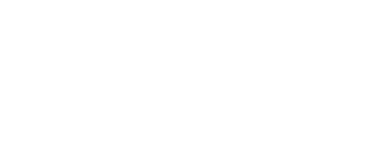Livaro Logo